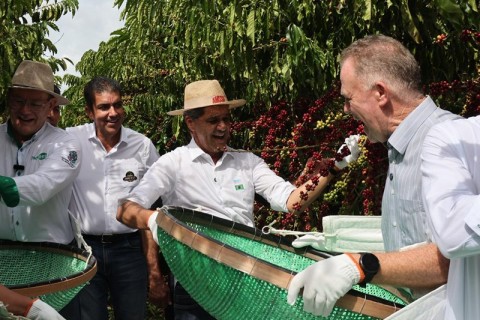 Governador abre oficialmente a colheita do café conilon no Espírito Santo