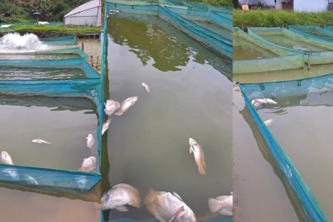 Crise no fornecimento de energia asfixia economia e rotina de moradores no Sul do Estado