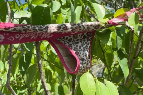 “Trilha das Calcinhas” vira ponto turístico curioso e desperta mistério no litoral do ES