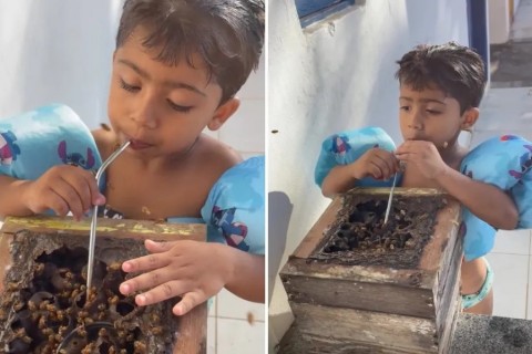 Menino de Anchieta viraliza com estilo "raíz" de beber mel
